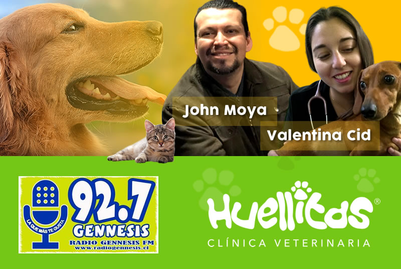 Participacion De Huellitas En Radiogennesis 5 Huellitas Clinica Veterinaria En Copiapo