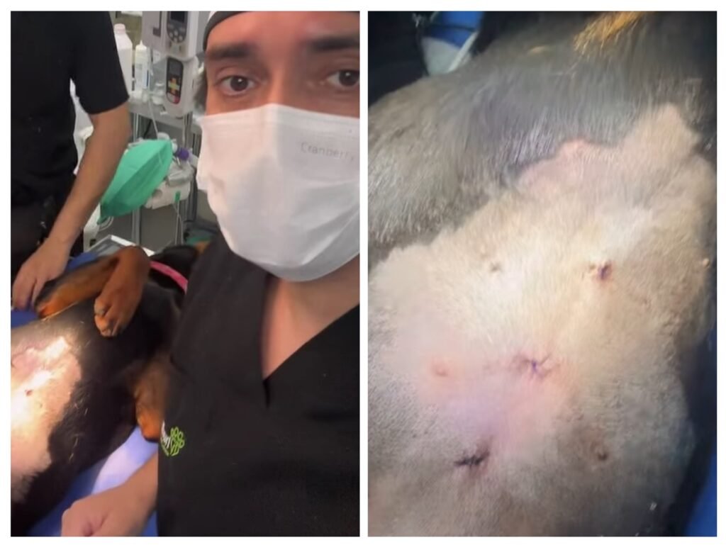 timestampe=1760121142 timestampe=1760121142